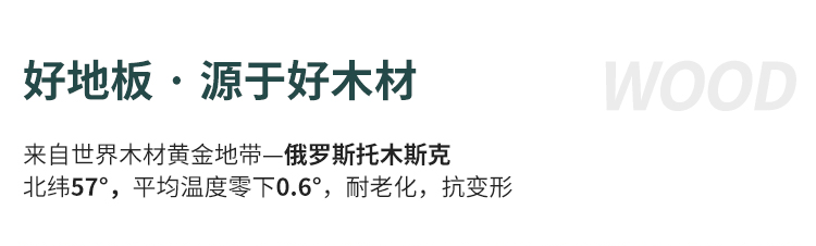 珠海室內(nèi)運(yùn)動(dòng)木地板承建商